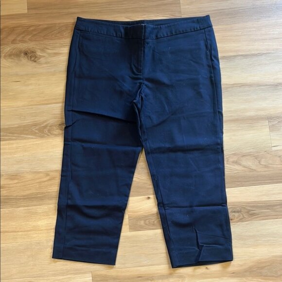 Blue Chinos Ankle Cropped Pants - Picture 1 of 4